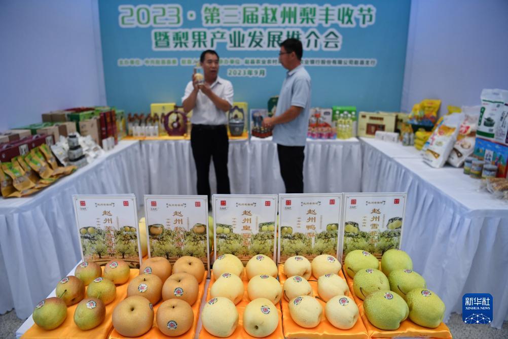 百家乐免佣